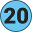20