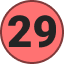 29