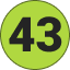 43
